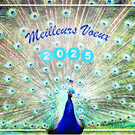 Oiseaux éclatants pour des vœux 2026 en couleur